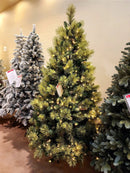 Árvore Pinheiro Colorado 2m • 1000 Galhos • 300 LEDs Warm Bivolt