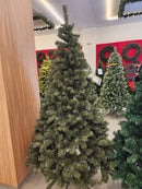 Pinheiro Ipanema Tradicional 2,40m 1000 Galhos Pré-Venda Exclusiva