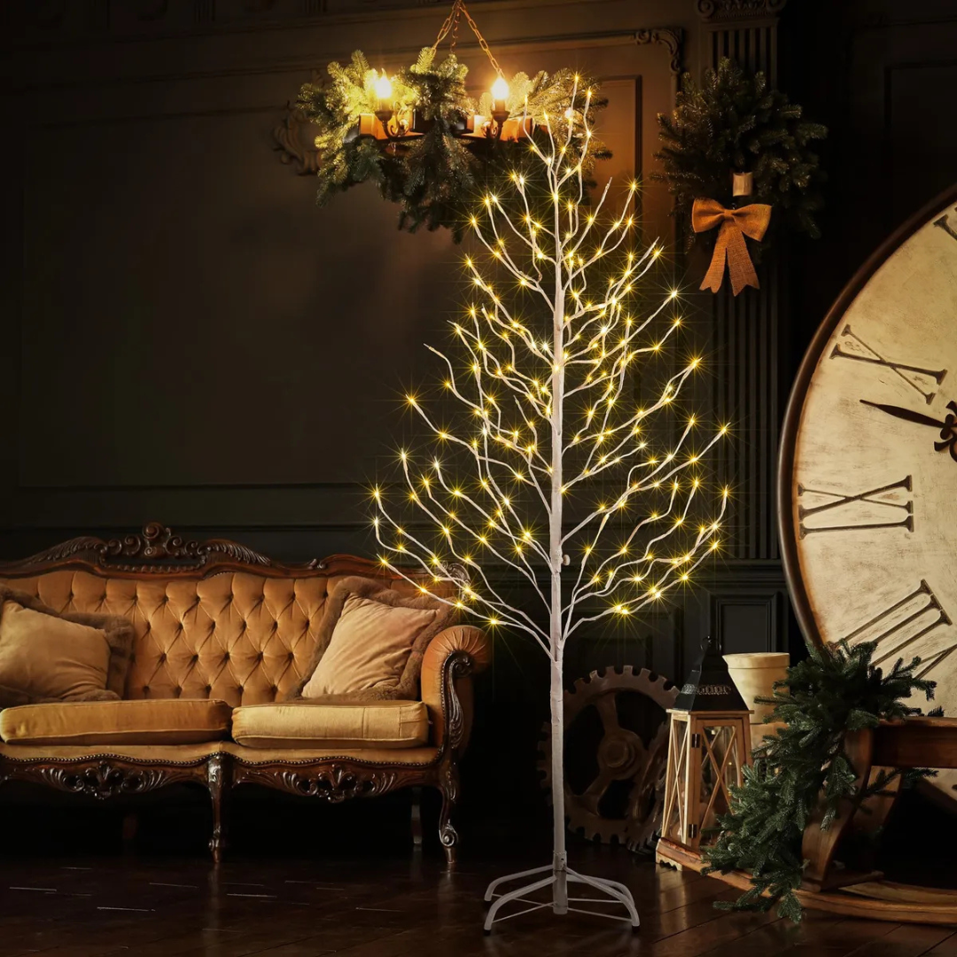 Luz da Bétula: Árvores Brancas Aconchegantes