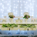 Cortina com LEDs e Controle Remoto - 8 Modos de Luz -  Para Decoração de Ambientes e Eventos