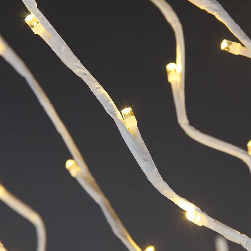 Árvores Brancas Quentes De Bétula iluminada