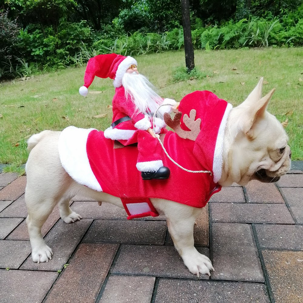 Roupinha de Natal Para Pet - Engraçada e Elegante
