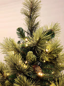 Árvore Pinheiro Colorado 2m • 1000 Galhos • 300 LEDs Warm Bivolt