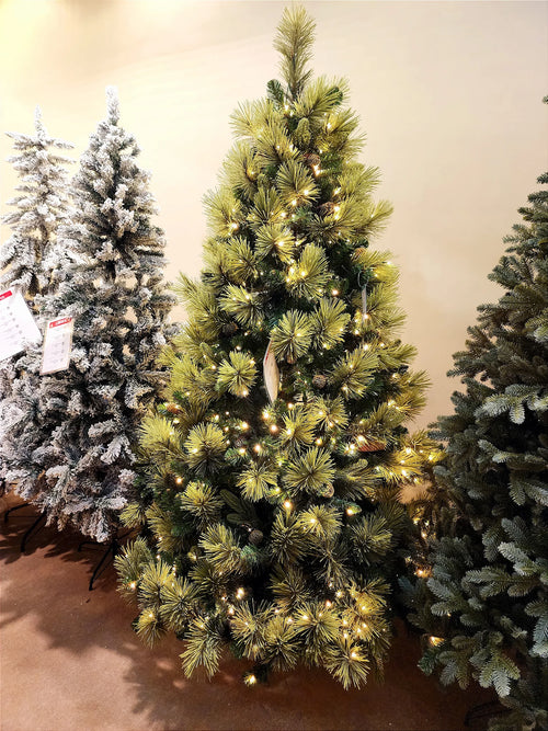 Árvore Pinheiro Colorado 2m • 1000 Galhos • 300 LEDs Warm Bivolt