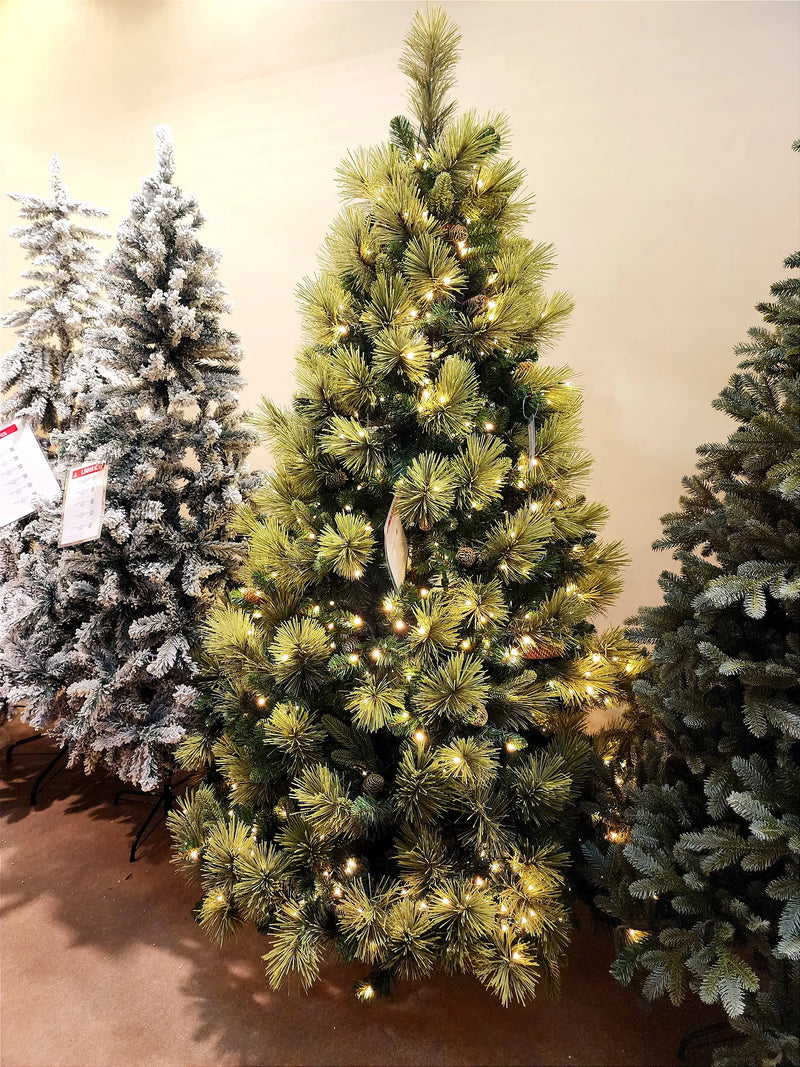 Árvore Pinheiro Colorado 2,10m • 1147 Galhos • 300 LEDs Warm Bivolt